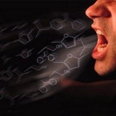 موثرترین راه دفع پشهها