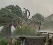 تصاویر بارش عجیب باران در بوشهر | صدای رعد و برق را بشنوید