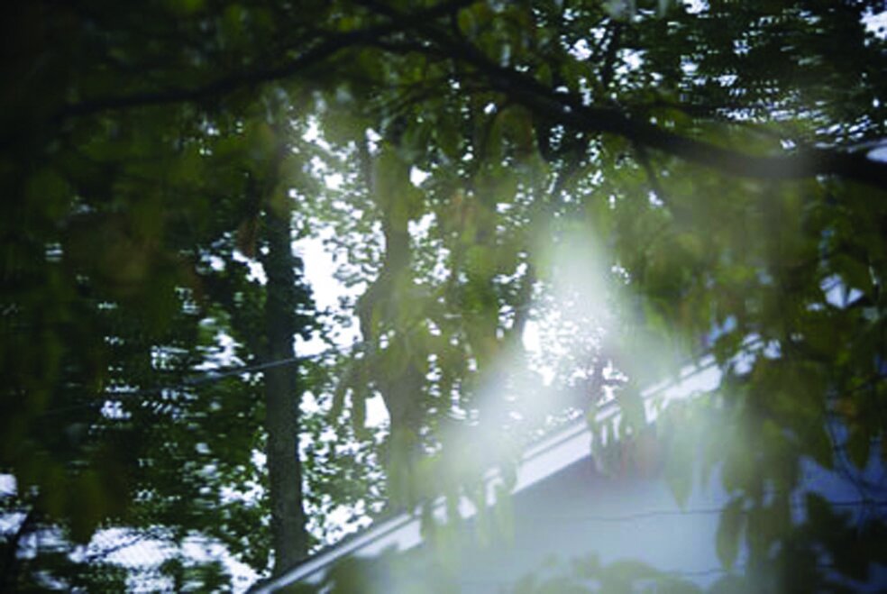 این گزارش را بخوانید شب خوابتان نمیبَرَد | مشهورترین اشباح سرگردان دنیا