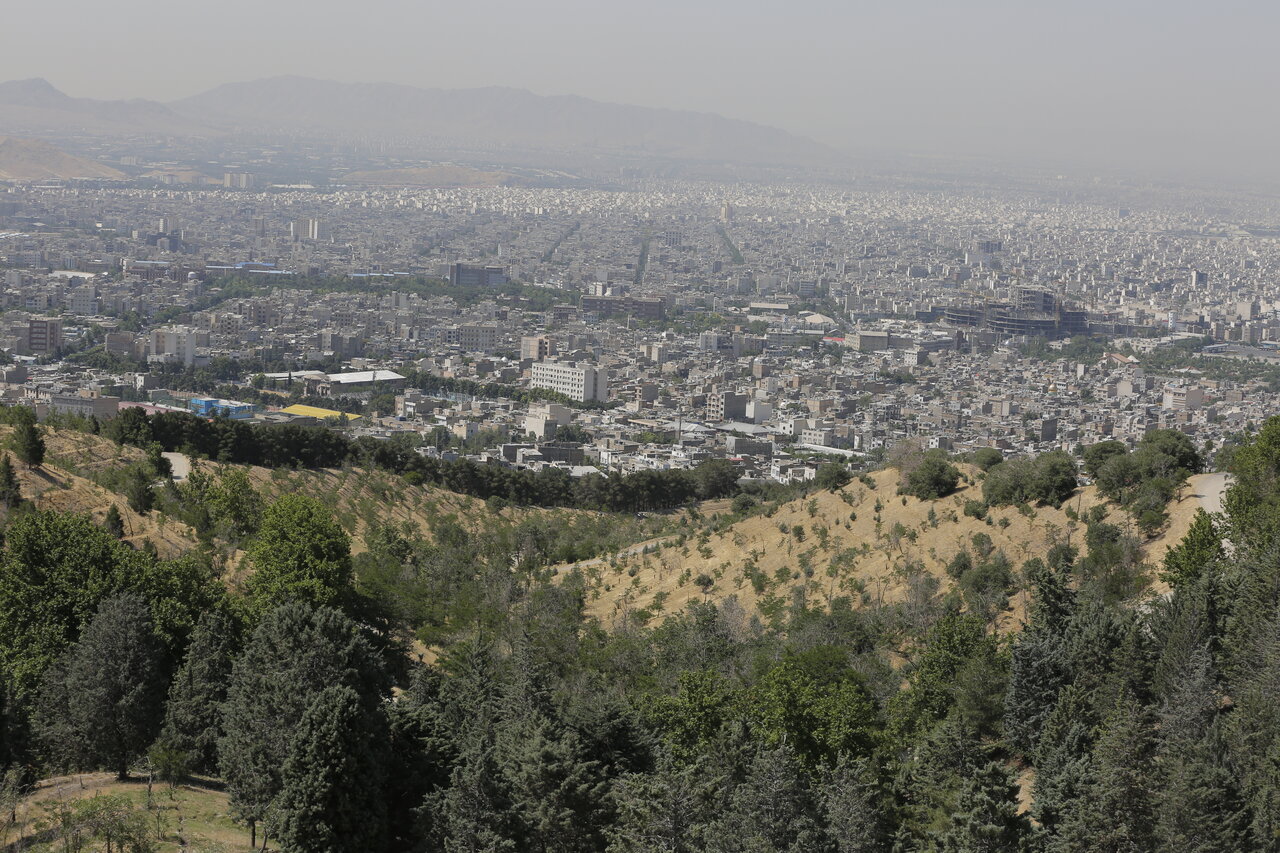 روایت معدنی پور از وضعیت منطقه ۴ تهران | از خشک شدن درختان لویزان تا نجات ۲۹۲ فضای بی دفاع شهری