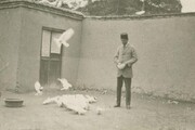 نگاهی به خانه شاعر مشروطه‌خواه در بن‌بست گوهر | ماجرای فروختن یواشکی کبوترهای سراینده تصنیف «مرغ سحر»!