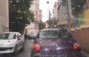 تهران ظهر امروز بارانی می شود