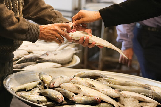 اگر ماهی‌شناس نیستید، توصیه ما این است که قبل از خرید برای فروشنده توضیح دهید که می‌خواهید ماهی را چطور بپزید.