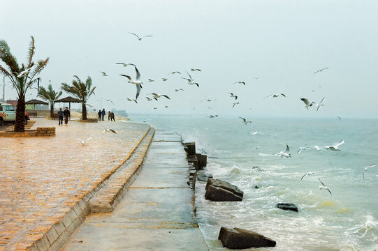 برای بوشهری‌ها که گرمای تابستان بوشهر را به راحتی طاقت می‌آورند، زمستان فصل شنا کردن در دریا نیست و بیشتر ترجیح می‌دهند در ساحل راه بروند و مرغان دریایی را تماشا کنند. اما وقت ظهر می‌توانید در دریا شنا کنید. اگر بعدازظهری هوای پیاده‌روی به سرتان زد، یک بادگير سبک را فراموش نکنید.