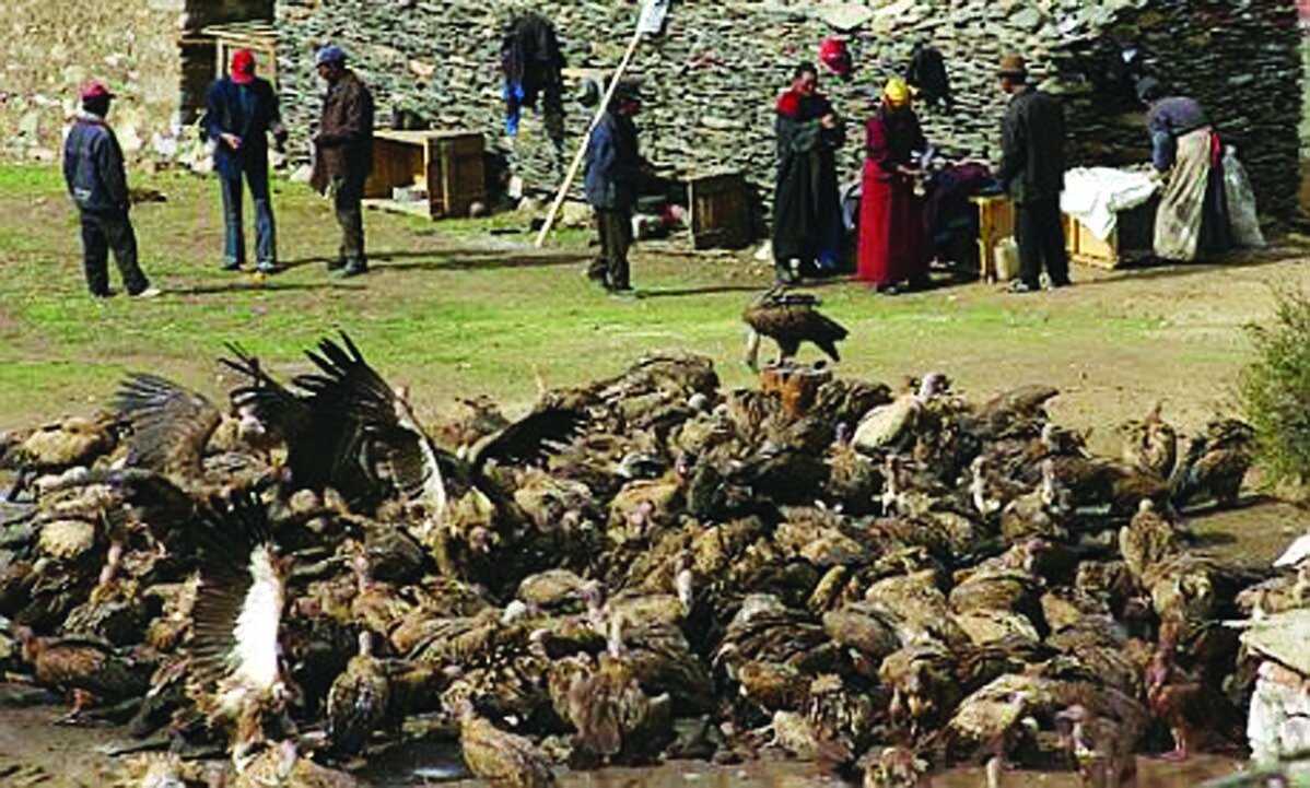 رسمهای عجیب ملل مختلف در تدفین مردگان