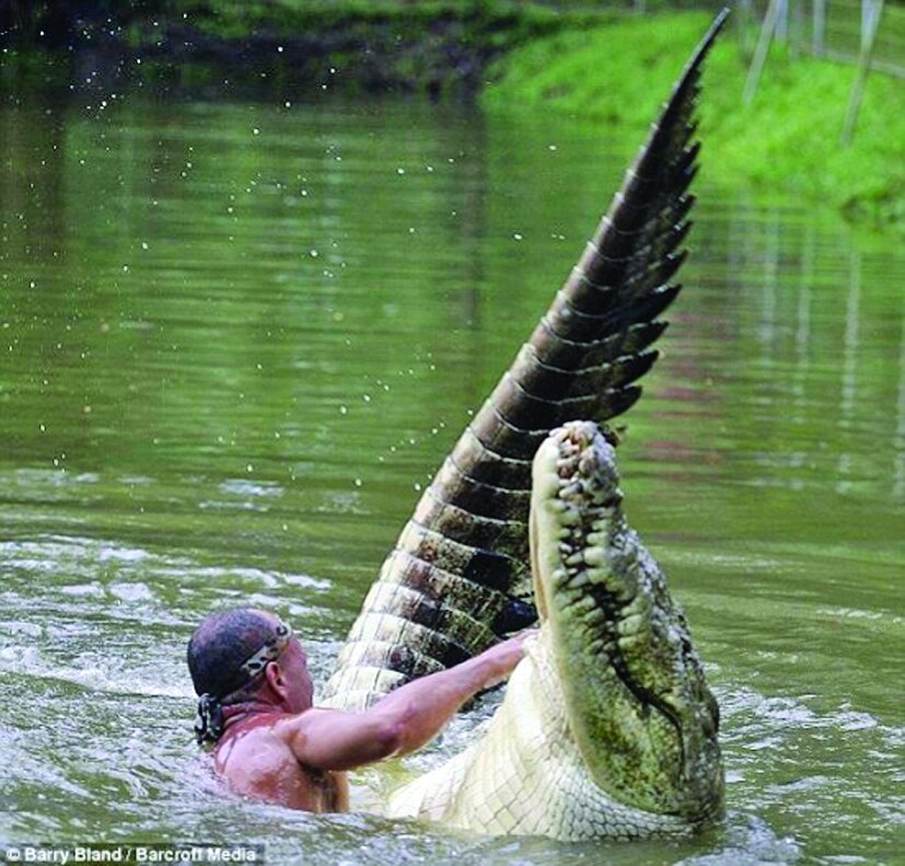 دوستی عجیب یک مرد روستایی با تمساح غولپیکر