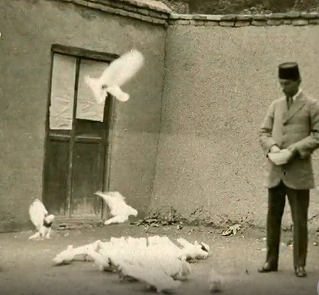 نگاهی به خانه شاعر مشروطه‌خواه در بن‌بست گوهر | ماجرای فروختن یواشکی کبوترهای سراینده تصنیف «مرغ سحر»!