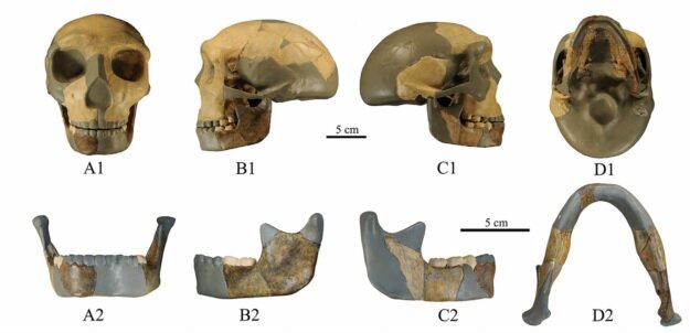 اسکلت عجیبی که شبیه به اسکلت هیچ انسانی نیست | کشف احتمالی یک دودمان جدید