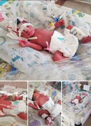 تصاویر تولد نوزادان چهار قلو از مادر ۳۷ ساله در اصفهان | واکنش پدر و برادر چهارقلوها
