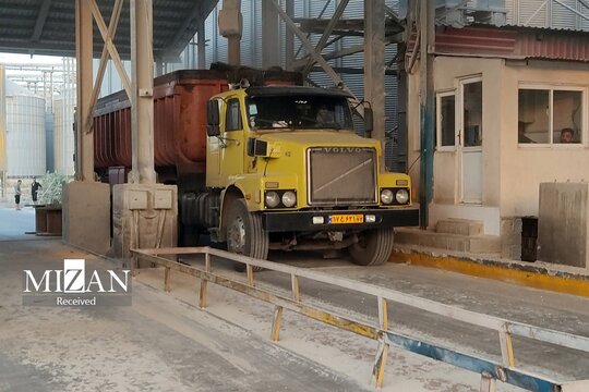آماده ترخیص شدن یک محموله ۶ هزاری تنی گندم از بندر امیرآباد