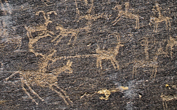 رمزگشایی از نقشهای بزرگترین سنگنگاره تیمره به سالها کار پژوهشی باستانشناسان و دیرینشناسان نیاز دارد.