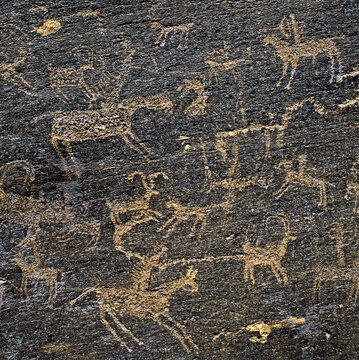 زندگی انسان دوران سنگی در این صحنه مرور شده، از موجودات منقرض شده دوران پارینه سنگی تا اولین ابزارهای شکار و شروع دوران سوارکاری.