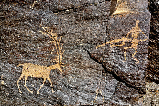 این یکی از زیباترین سنگنگارههای تیمره است که با وجود قدمت دههزار ساله به سبب زاویه قرارگیری سنگ کمتر دچار فرسایش شده. نسل این نوع گوزن قرمز یا مارال در بخشهایی از ایران امروز هنوز باقی است. ابزار شکار این انسان دوران نوسنگی نوعی کمند است.