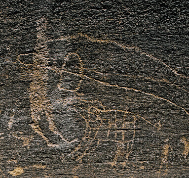 در کنار مرد کمندانداز، جانداری زرهپوش دیده میشود که بیشباهت به دودیکوروس، پستاندار منقرض شدهای در پایان عصر یخبندان نیست.