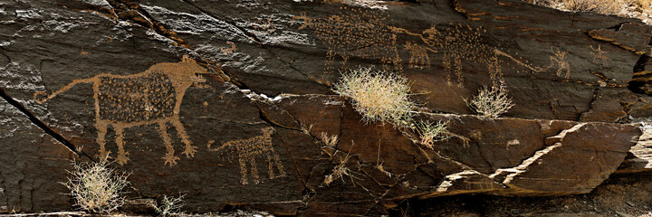 این تابلوی عظیم چهار متری سنگنگارهای از انسان پیش از تاریخ است که صحنهای زمستانی را در تیمره به تصویر کشیده است. دانههای برف، گرگ، پلنگ، خانواده گراز، دو مرد شکارچی سوارکار و یک یوزپلنگ آسیایی عناصر این نقاشی سنگیاند.