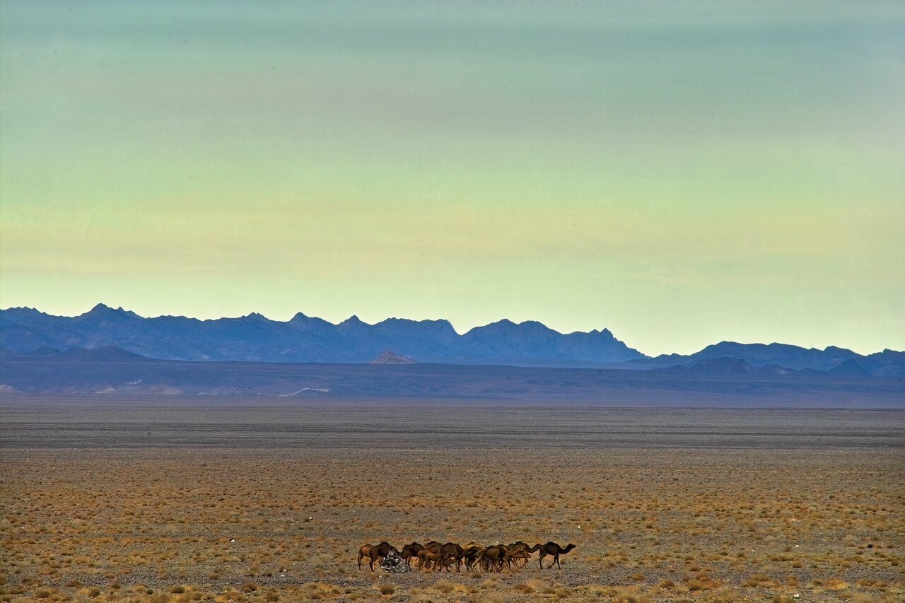 در این نقطه از ایران راه شیری را بدون تلسکوپ ببینید