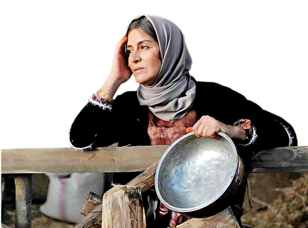 شیار143