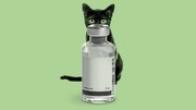 داروی ضد کرونای انسانی برای مقابله با ویروس عامل کشتار گربه‌ها در قبرس به کار می‌رود
