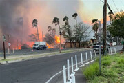 اولین تصاویر خودروهای سوخته آمریکایی | تلفات مرگبارترین آتش‌سوزی آمریکا به ۸۹ نفر رسید