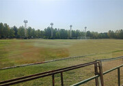 تصاویر وضعیت اسفناک زمین چمن مرکز ملی فوتبال | گرمای شدید هوای تهران مقصر شد!