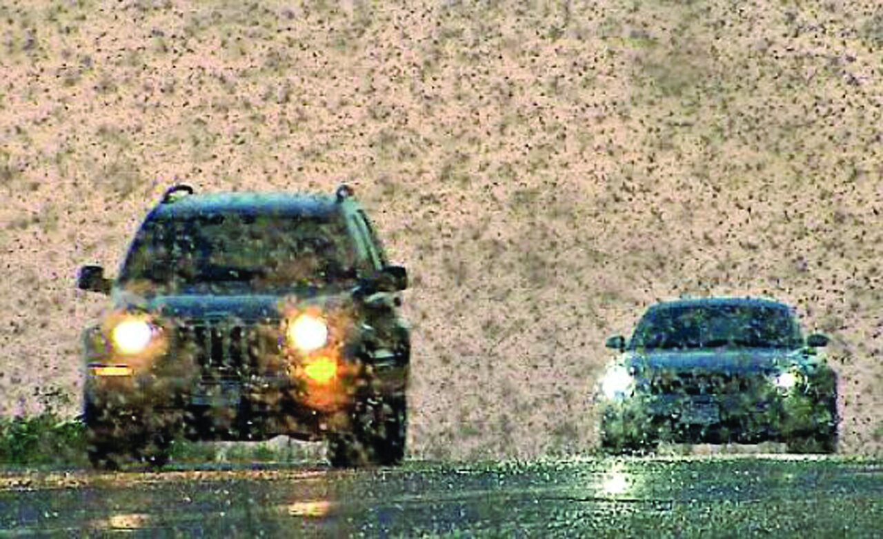 تصویری از یک ملخ ۱۰ کیلوگرمی | ملخهای قاتل!