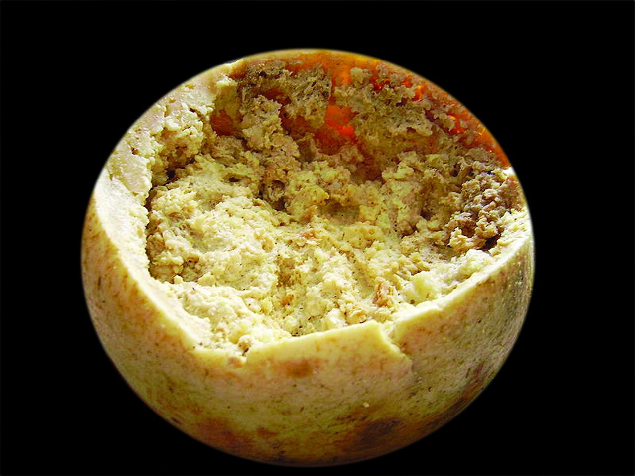 یک غذای سنتی ایرانی در بین حال به هم زنترین غذاهای جهان | تصاویری از چندشآورترین خوراکهای دنیا