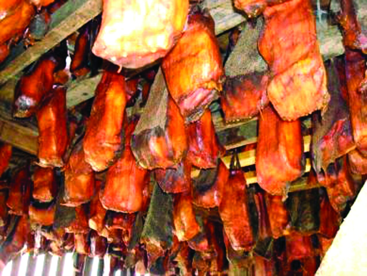 یک غذای سنتی ایرانی در بین حال به هم زنترین غذاهای جهان | تصاویری از چندشآورترین خوراکهای دنیا