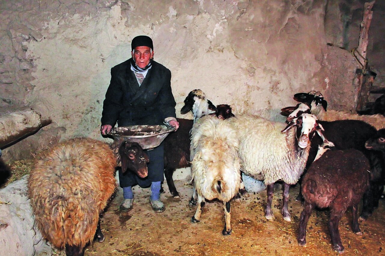 این مرد کشاورز، یک زن است