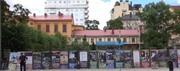 ببینید | نمایشگاه خیابانی از جنایات گروهک تروریستی منافقین در آلمان