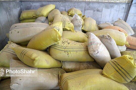 معدوم سازی چهار تن ناس و تنباکو
