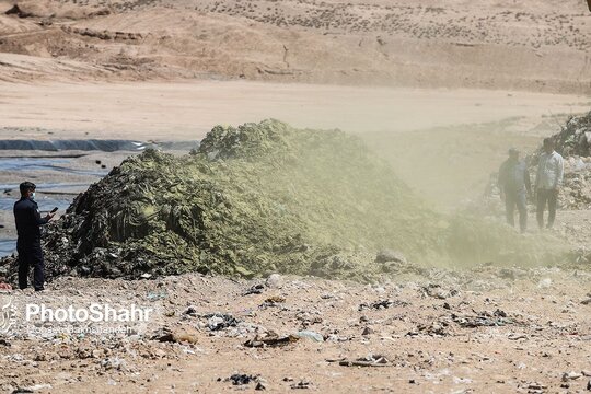 معدوم سازی چهار تن ناس و تنباکو