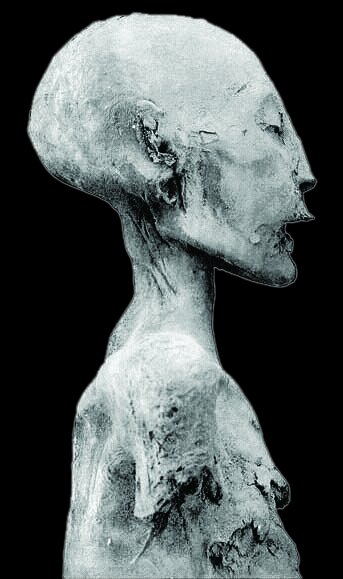 راز های پنهان جمجمه ها و استخوانهای کشف شده توسط باستان شناسان