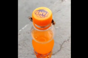 تصاویری از تلاش دیدنی زنبورها برای باز کردن بطری نوشابه!