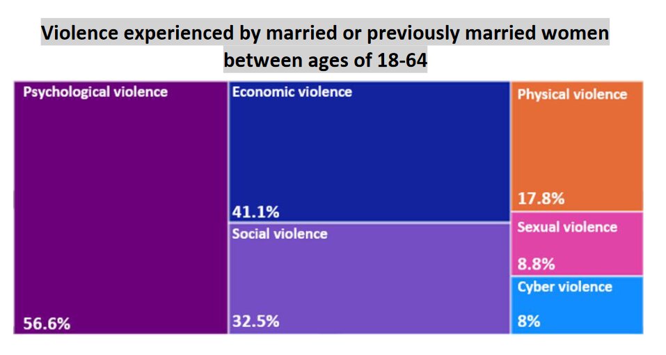 واکاوی ابعاد حقوق بشری جنایات رژیم صهیونیستی علیه زنان فلسطینی