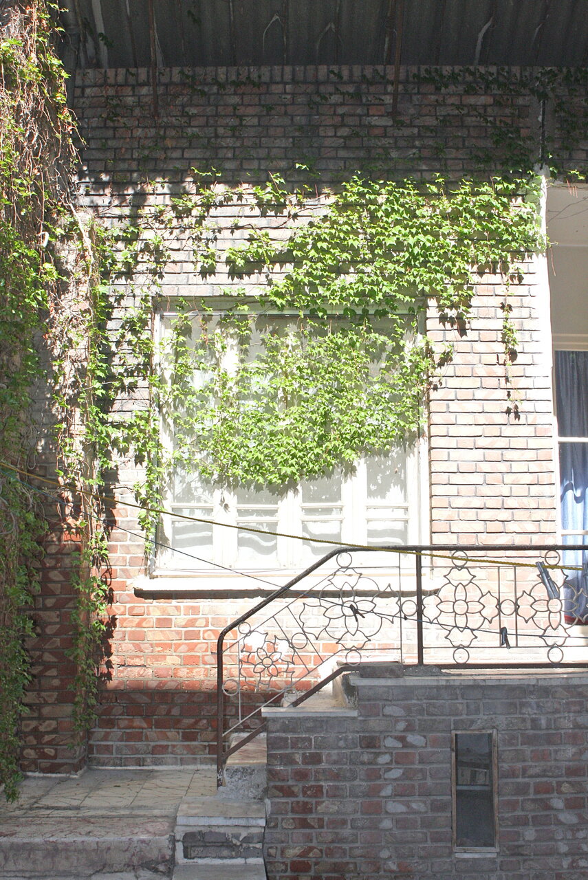 از خانه سیدها تا بهار فکه | چند برگ از زندگی سید شهیدان اهل قلم سیدمرتضی آوینی