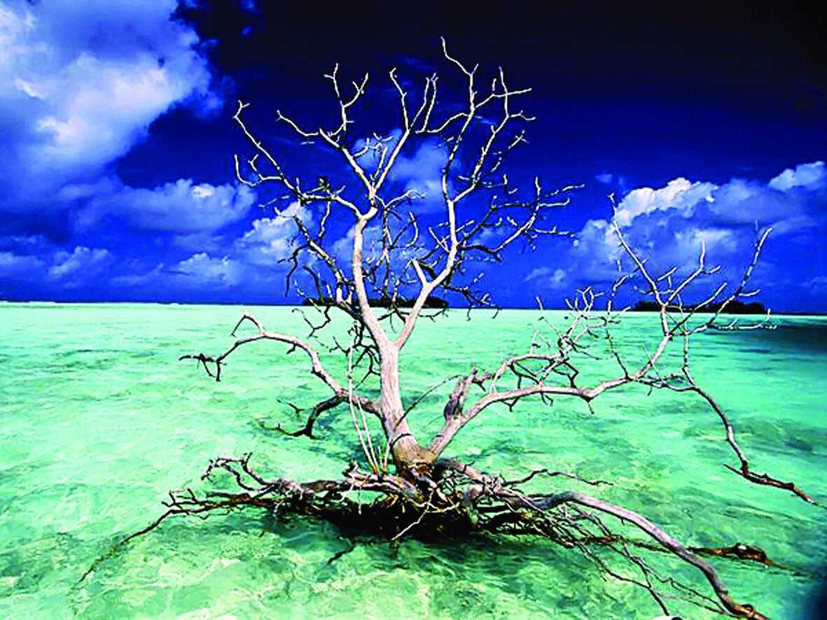 شگفتآورترین جزایر جهان، از جزیره نفرین شده تا جزیره متحرک