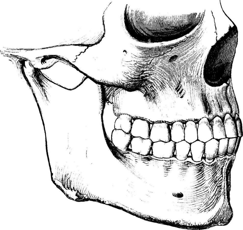 راز پوسیده نشدن دندان‌های انسان پس از مرگ چیست؟!