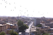سکونتگاه‌های غیررسمی مشهد، سند می‌خورند