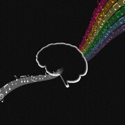 آهنگ پینک فلوید از درون مغز بیماران| اندانشمندان با خواندن پیام‌های مغزی موسیقی شنیده شده را بازآفرینی می‌کنند