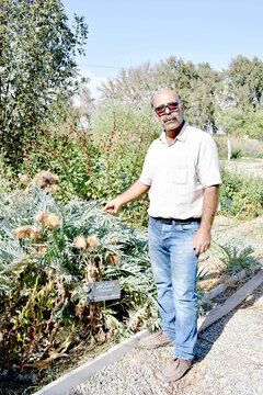 اینجا باغ فیروزه است | گونه گیاه دارویی در همسایگی ما