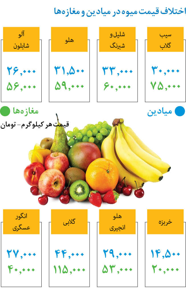 اختلاف قیمت میوه در میادین و مغازه‌ها |  جدیدترین قیمت سیب، هلو، گلابی، انگور و خربزه را ببینید