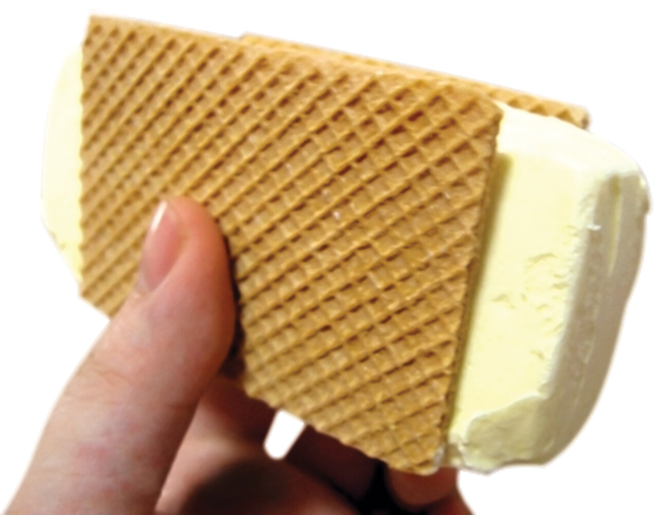 بستنی اکبرمشدی را در خانه درست کنید