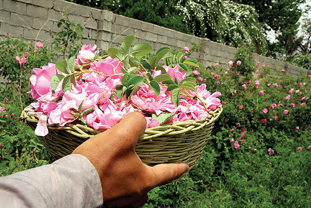 شهر چند هزار ساله ایران که قبلا گور بود