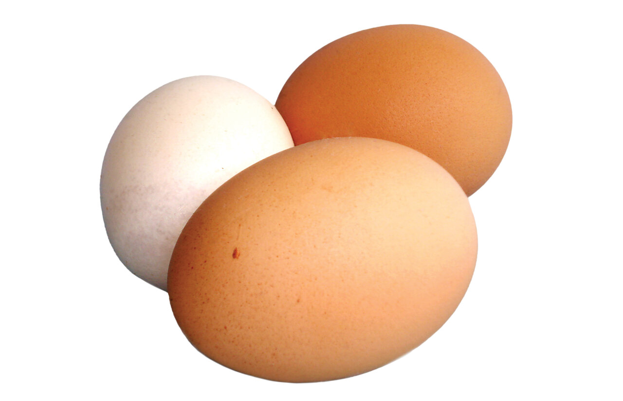 رژیم غذایی، مخصوص کسانی که دچار اماس هستند