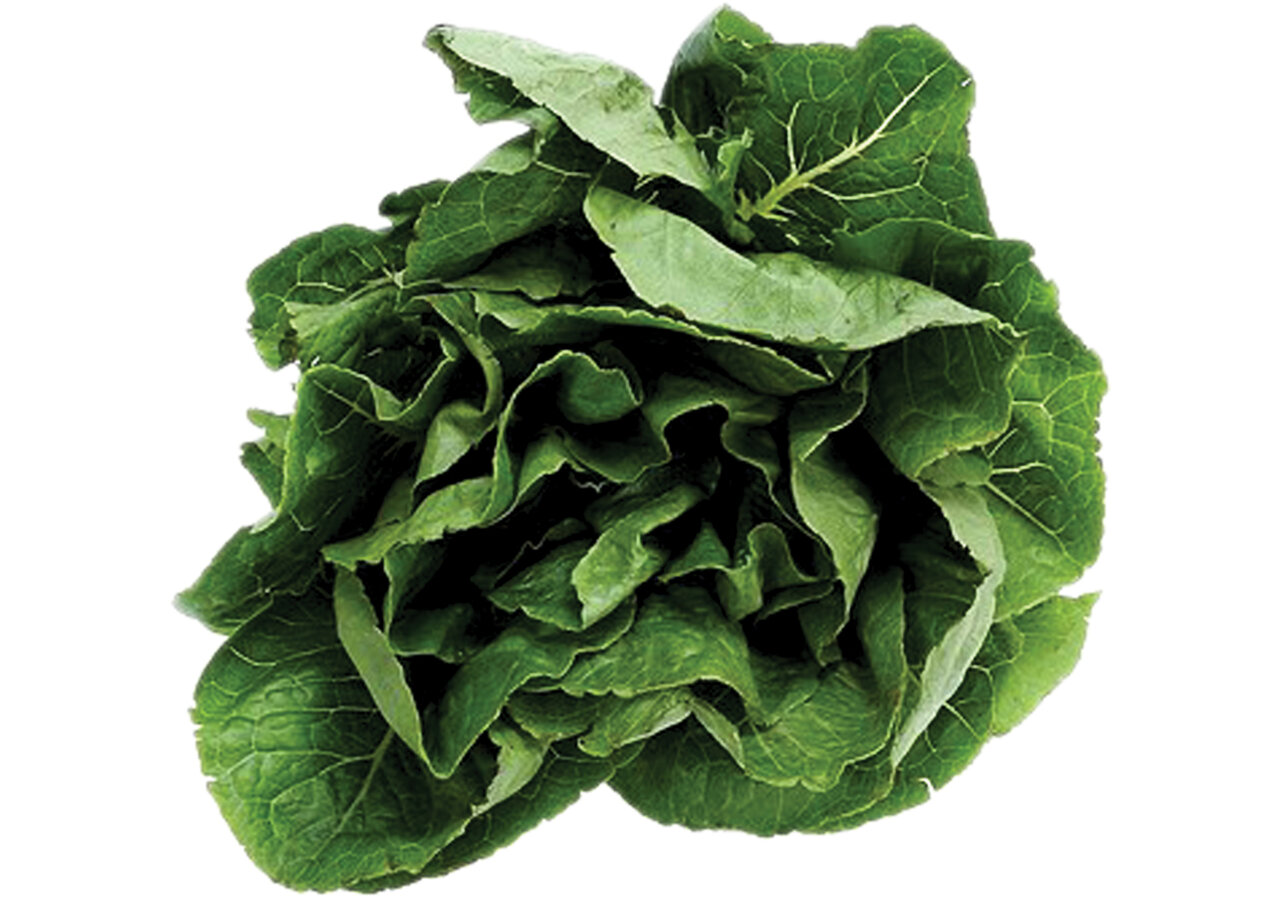 رژیم غذایی، مخصوص کسانی که دچار اماس هستند