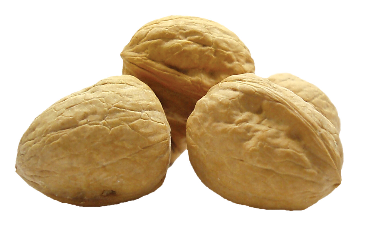 رژیم غذایی، مخصوص کسانی که دچار اماس هستند