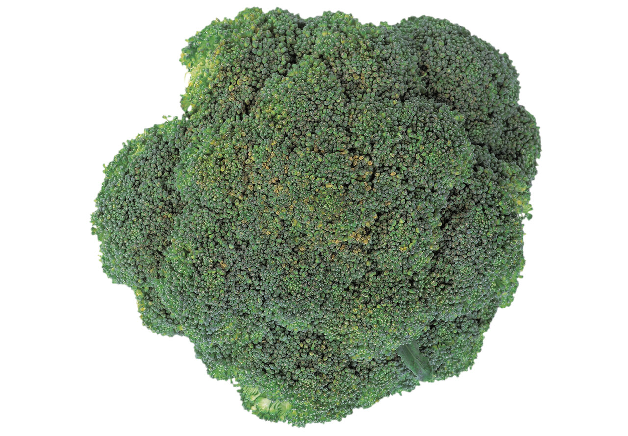 رژیم غذایی، مخصوص کسانی که دچار اماس هستند