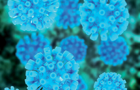 هپاتیت چیست ؟ ؛ علائم، راههای انتقال و روشهای پیشگیری و درمان هپاتیت