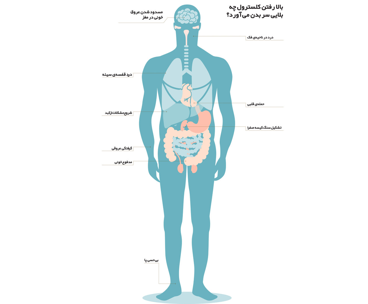 چطور برنامه غذاییمان را با مصرف داروهای ضد کلسترول هماهنگ کنیم؟