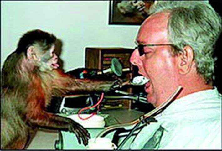 مشهورترین میمون‌های دنیا که همکار دانشمندان بودند